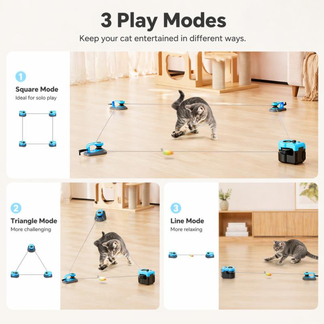 PurrPlay Teaser