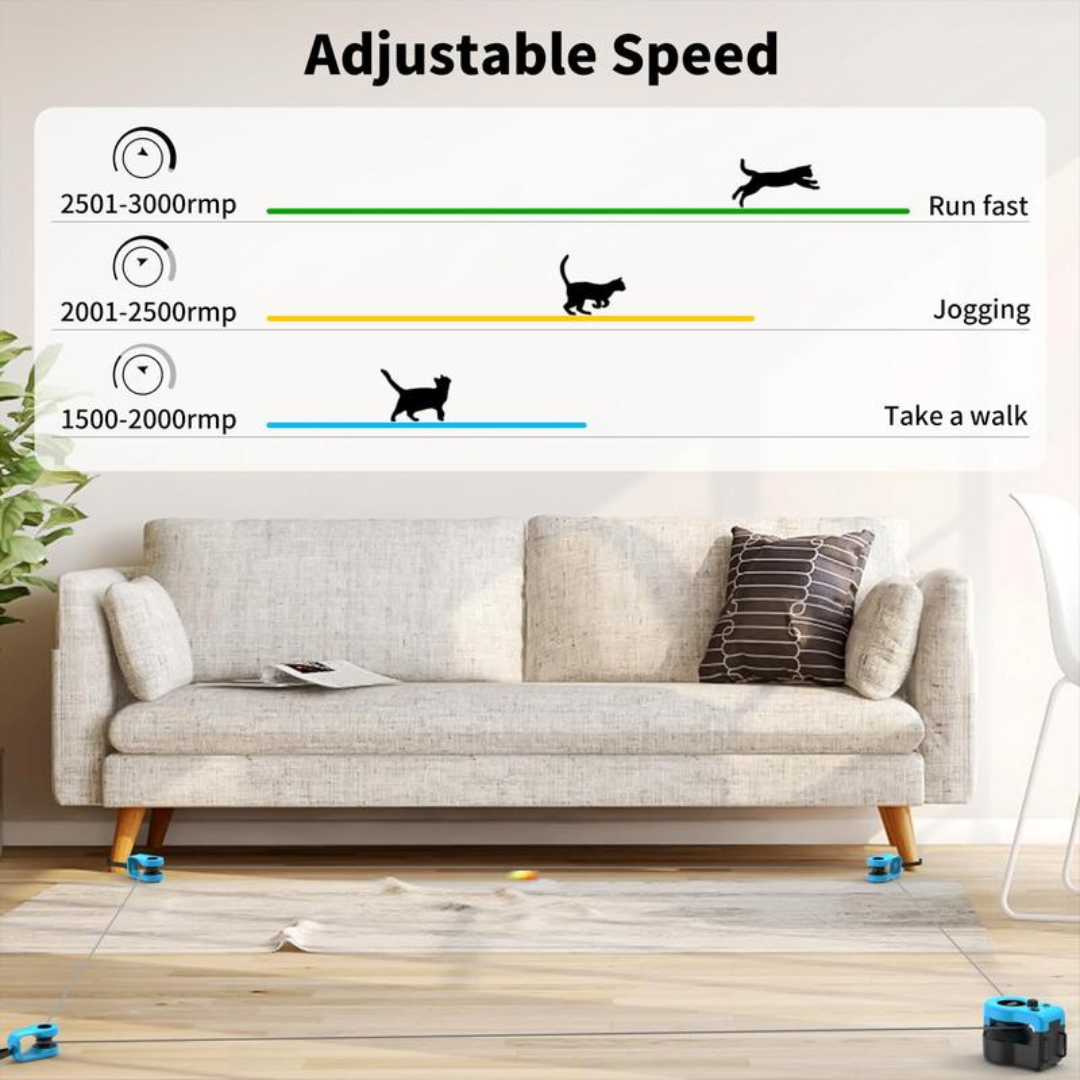 PurrPlay Teaser