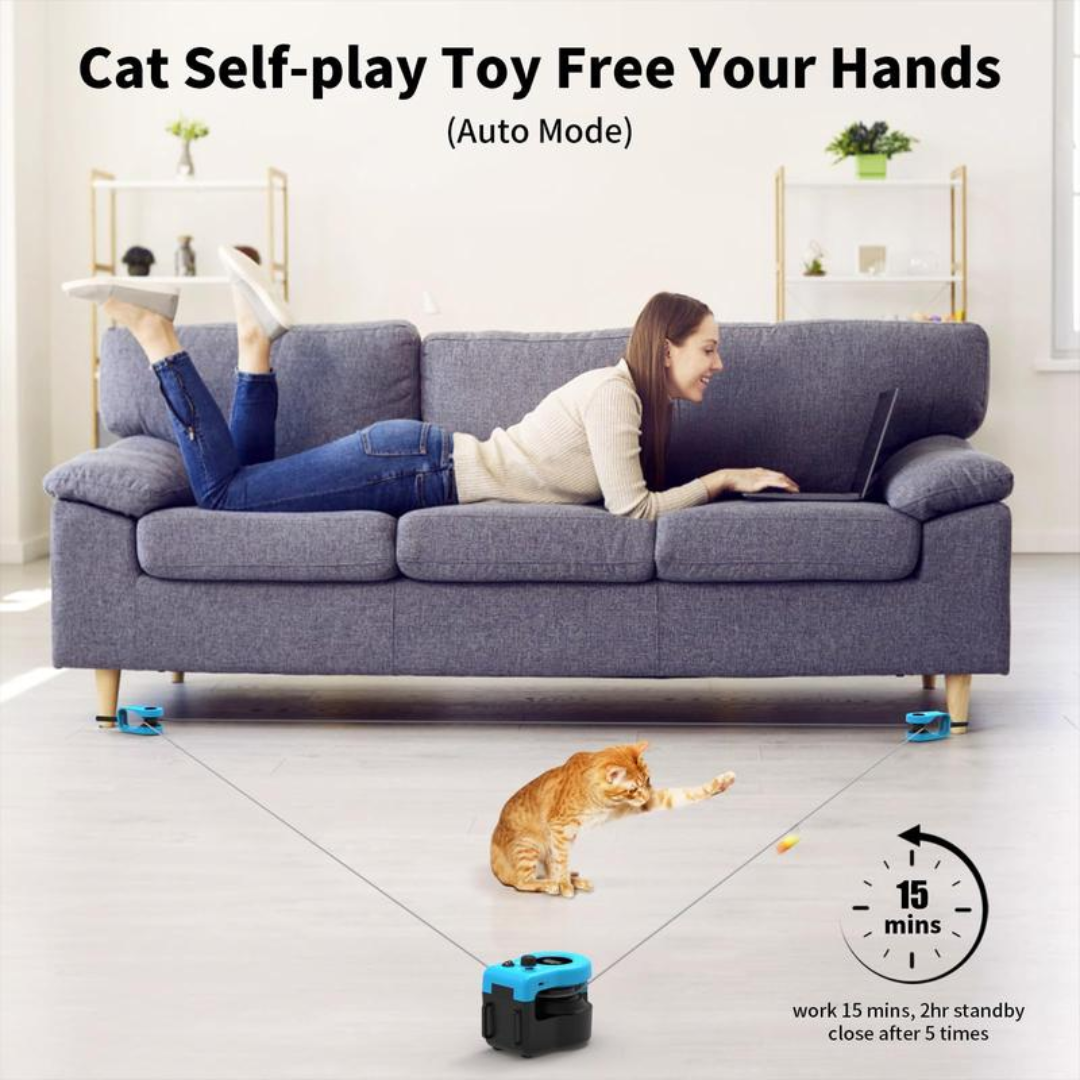 PurrPlay Teaser