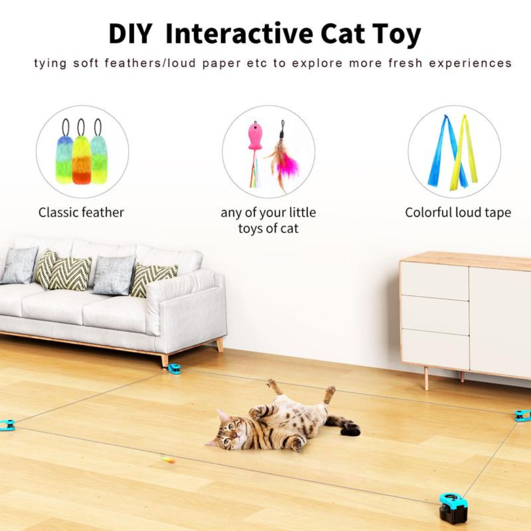 PurrPlay Teaser